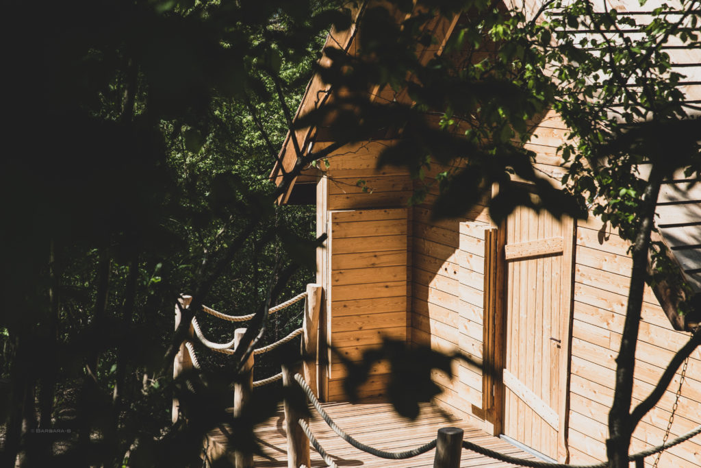 BB-20200426-7266-1024×683