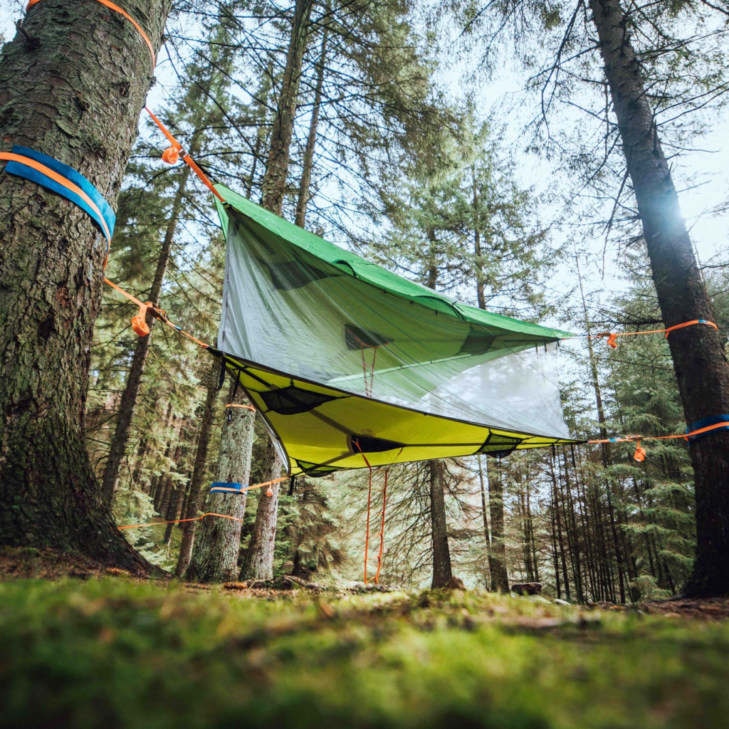 339137679_2427955664038126_8669231868077634263_n