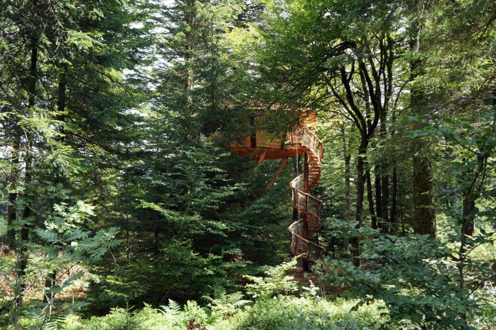 recoloriséDSC04146_CDF_low