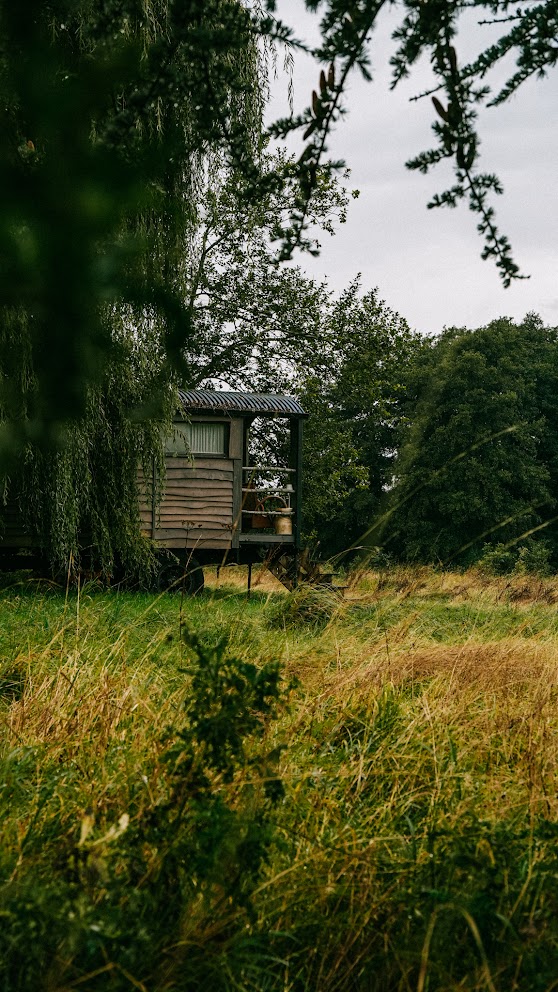 VALLEE-DE-LA-MILLIERE-LOGEMENT-ATYPIQUE-60